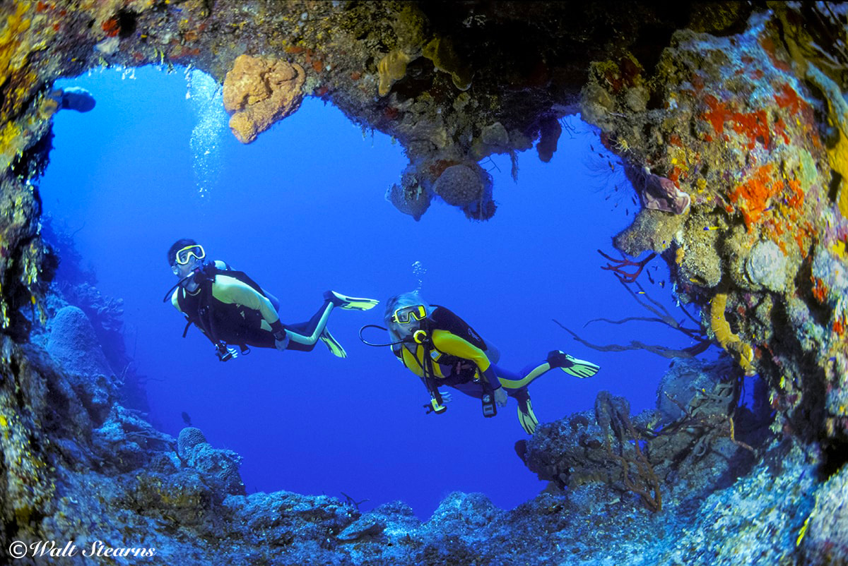 Divers peer into the mouth of a cavern cut into the face of Bloody Bay Wall.