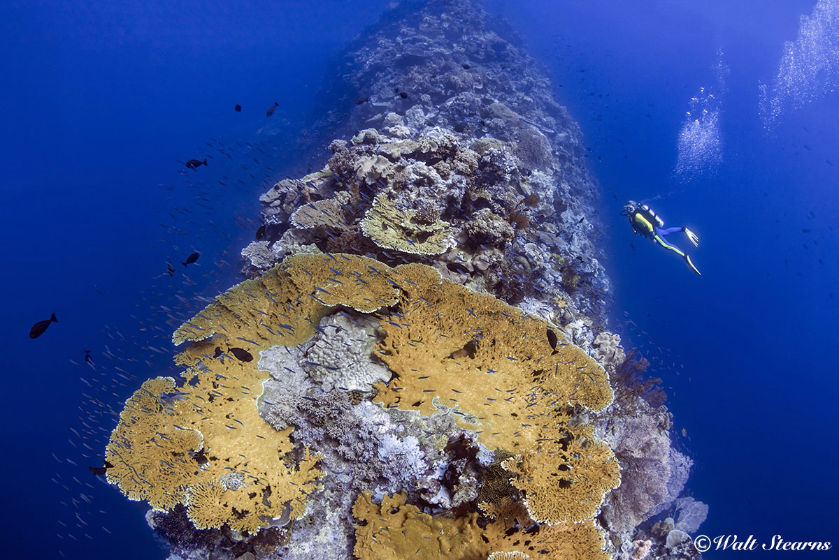 The parallel seamounts of The Blade rare revealed to be quite thin when seen from the end.