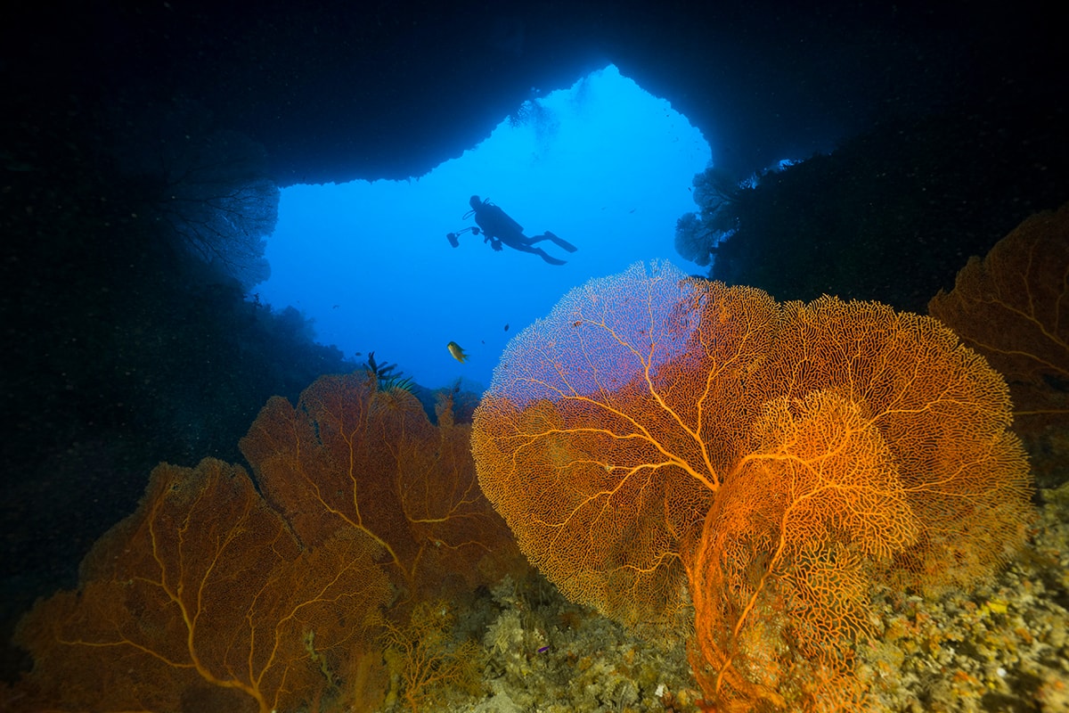 The upper of two openings in the reef wall that connect the Blue Hole caverns of Palau to the open ocean.