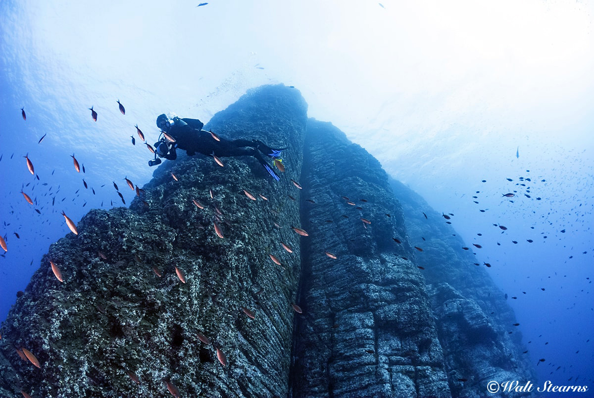 An upward-looking view of Roca Partida, which rises from great depths to attract passing fish life.