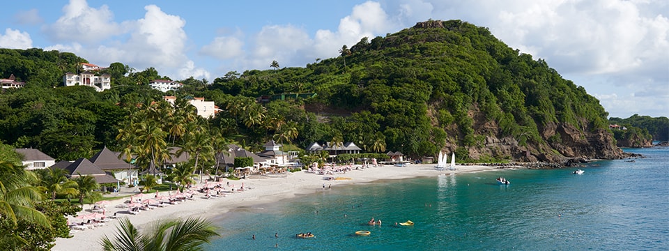 Palm trees line the beach at BodyHoliday. The resort's sprawling grounds are tucked into a wooded coastal valley.  