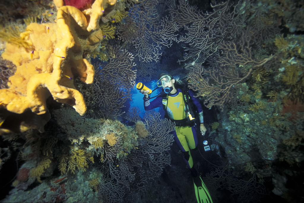 Diving the vertical faces of East End’s walls can seem even more dramatic after negotiating the confines of a narrow sand chute to emerge on the edge of the abyss.