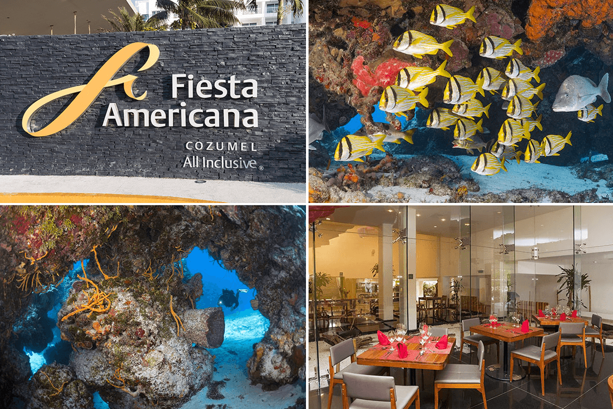 Fiesta Americana is an upscale all-inclusive beach resort offering upscale dining and a range of resort amenities, along with convenient access to Cozumel's best dive sites.