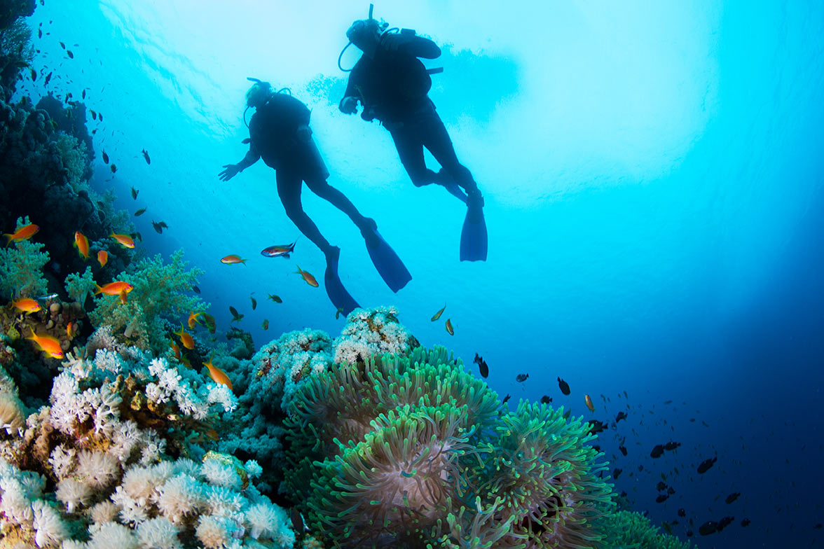 adventurous travel diving