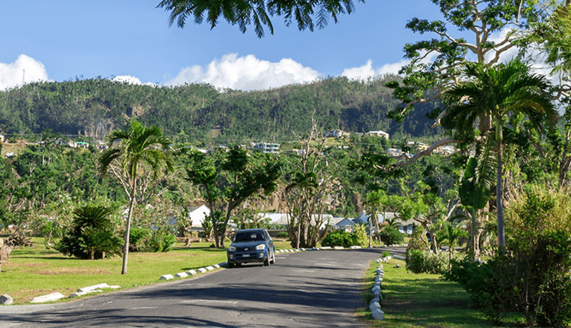 The streets of Dominica's capital, Roseau, are once again shrouded in green.