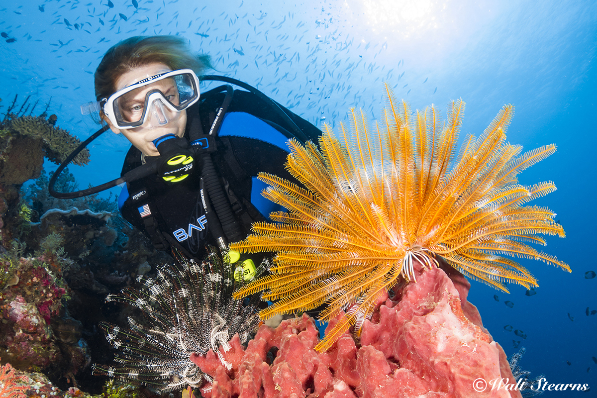 How to Shoot Your Dive Buddy – Legally How to Shoot Your Dive Buddy – Legally
