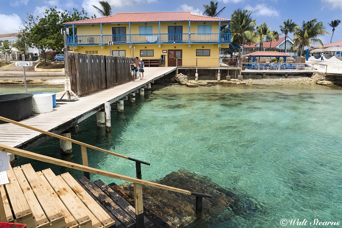 The dock at Divi Flamingo Beach Resort & Casino provides easy, secure water access for first-time shore dives.