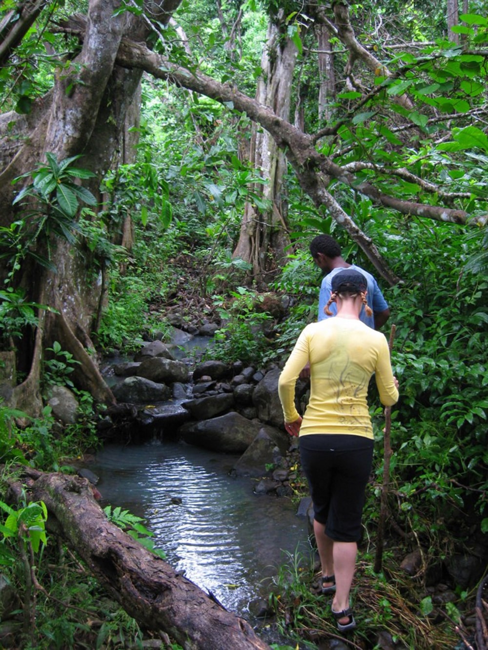 Hikers can explore trails on Beqa, or take day trips to Viti Levu for more trekking adventures.