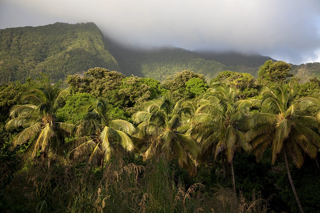 The lush rainforests and mountains of Dominica are crisscrossed with hiking trails.