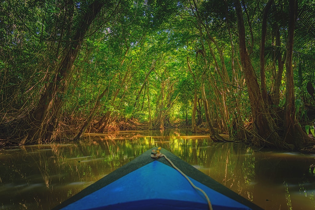 Several of Dominica's larger rivers can be explored by boat or kayak.