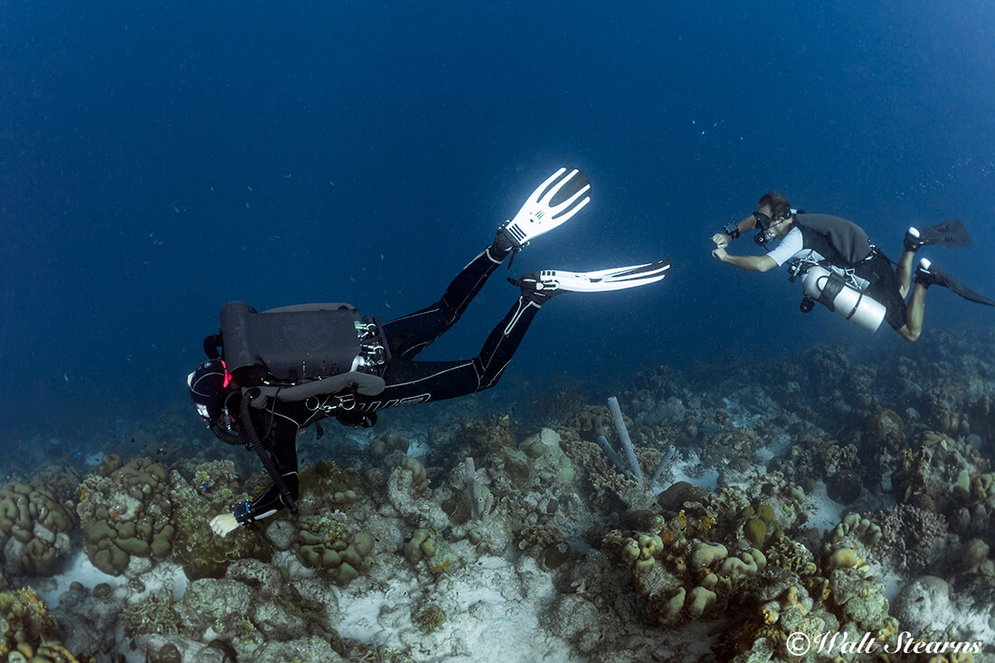 A rebreather diver and a side mount diver cruise the upper crest of Buddy Dive's house reef.