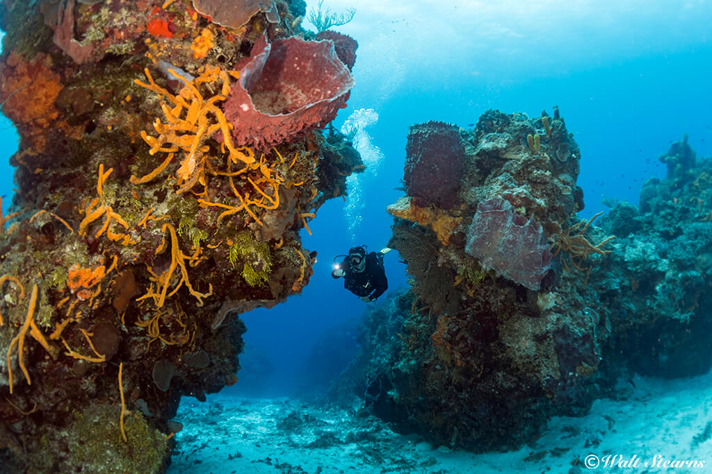 Good buoyancy control allows you to “fly” closer to the dramatic coral formations of Cozumel's Reefs.