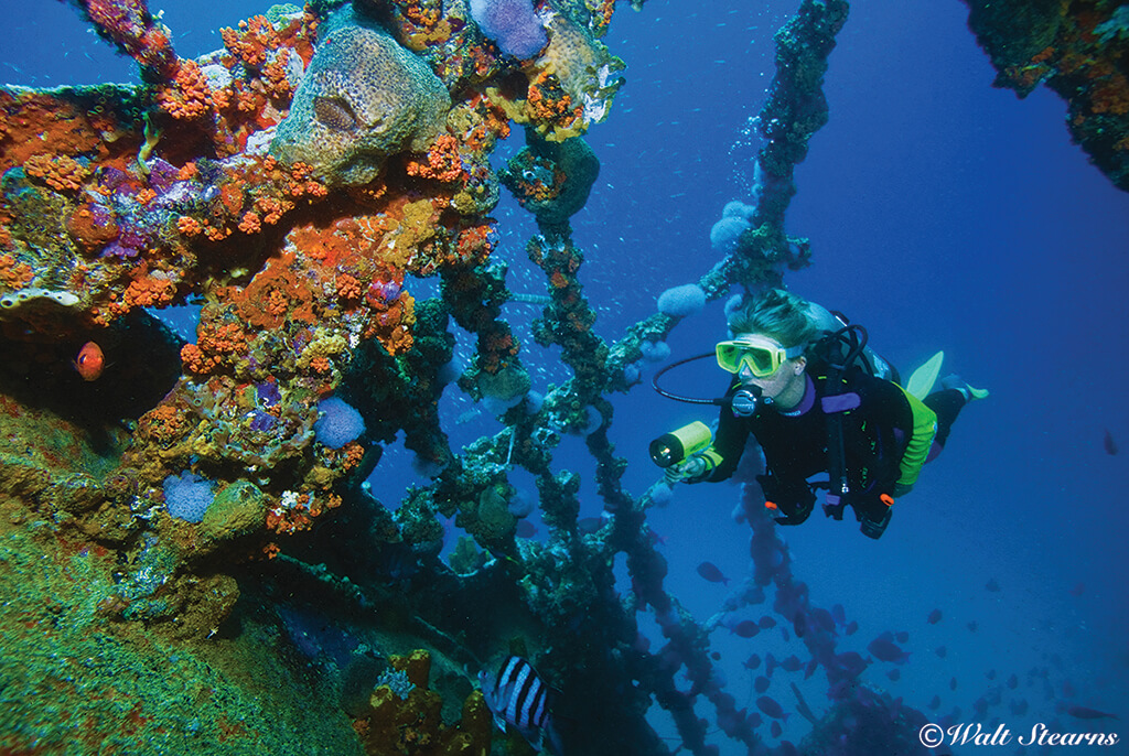 Aruba's Antilla wreck sits in clear water and rises close to the surface, making it ideal for both divers and snorkelers to explore.