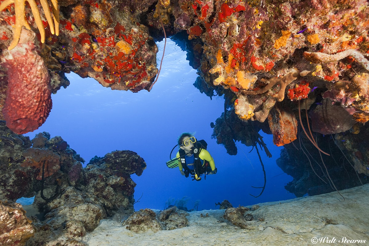 A diver explores one of the man swim-through caverns that riddle the reef system known as Palancar.