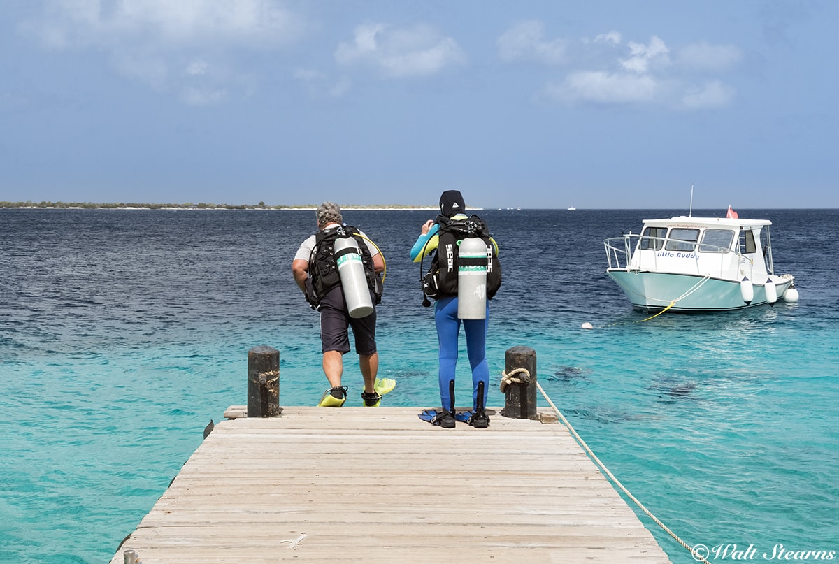 At a number of Bonaire's oceanfront dive resorts, dive sites are just a giant stride away.