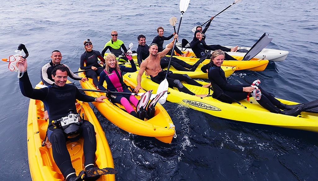 BigAnimals Global Expeditions encounters place participants in individual kayaks with a professional paddler.