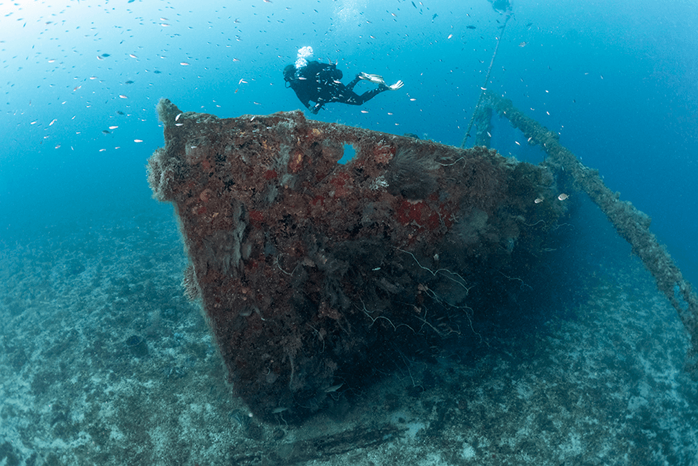 Martinique's signature wreck dive is the Nahoon, which is a steel-hull, three-masted sailing ship sitting upright in 113 feet of water.