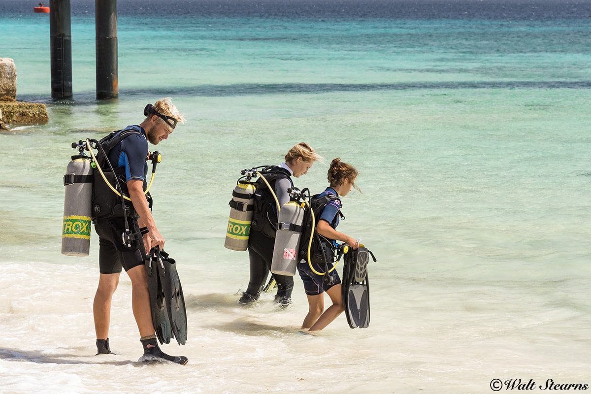 Watching other divers enter and exit the water can provide clues to conditions.