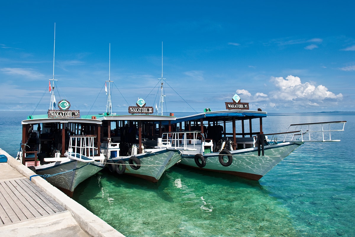 A fleet of 75-foot-long dive boats provide shaded comfort and relaxing cruises to dive sites.