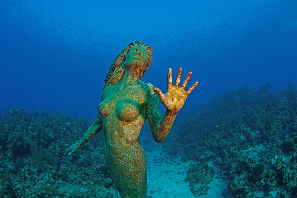 The mermaid sculpture by Simon Morris is located close to Sunset house and is a popular shore dive.