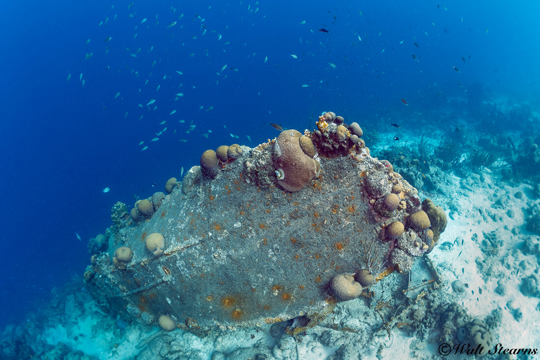 The small wreck known as La Machaca sits on the edge of the reef slope, close to Captain Don's Habitat.