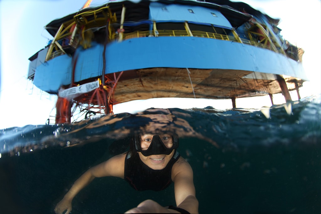 Divers can explore below pilings of the SeaVenture to discover a landscape of artificial reefs and fish-attracting structures.