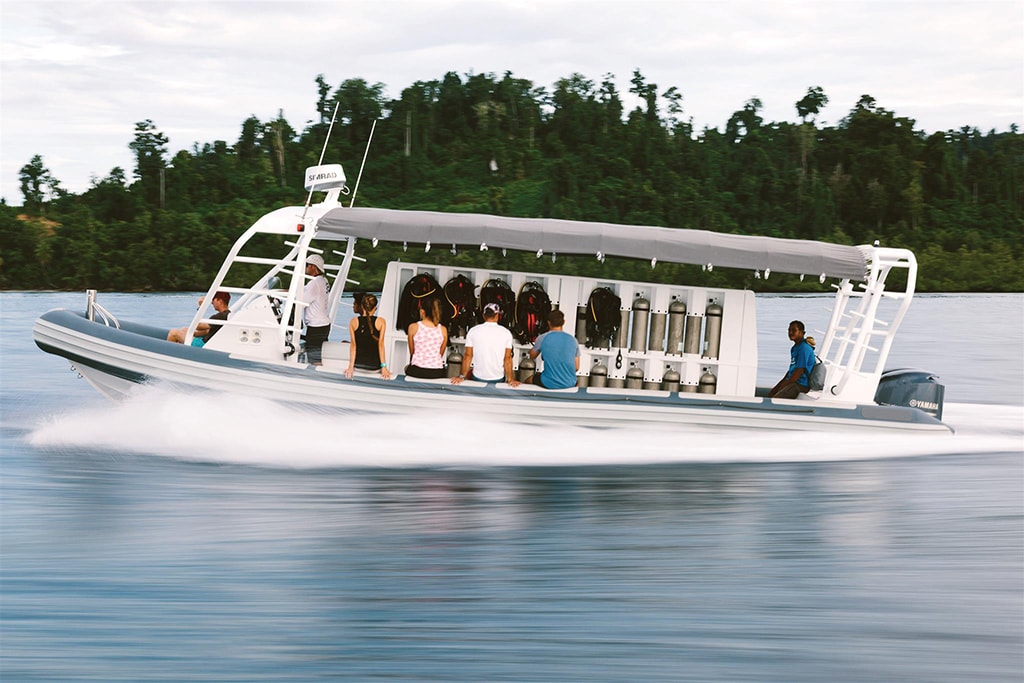 Fuel-efficient, high-speed dive boats carry divers to a wide range of sites.