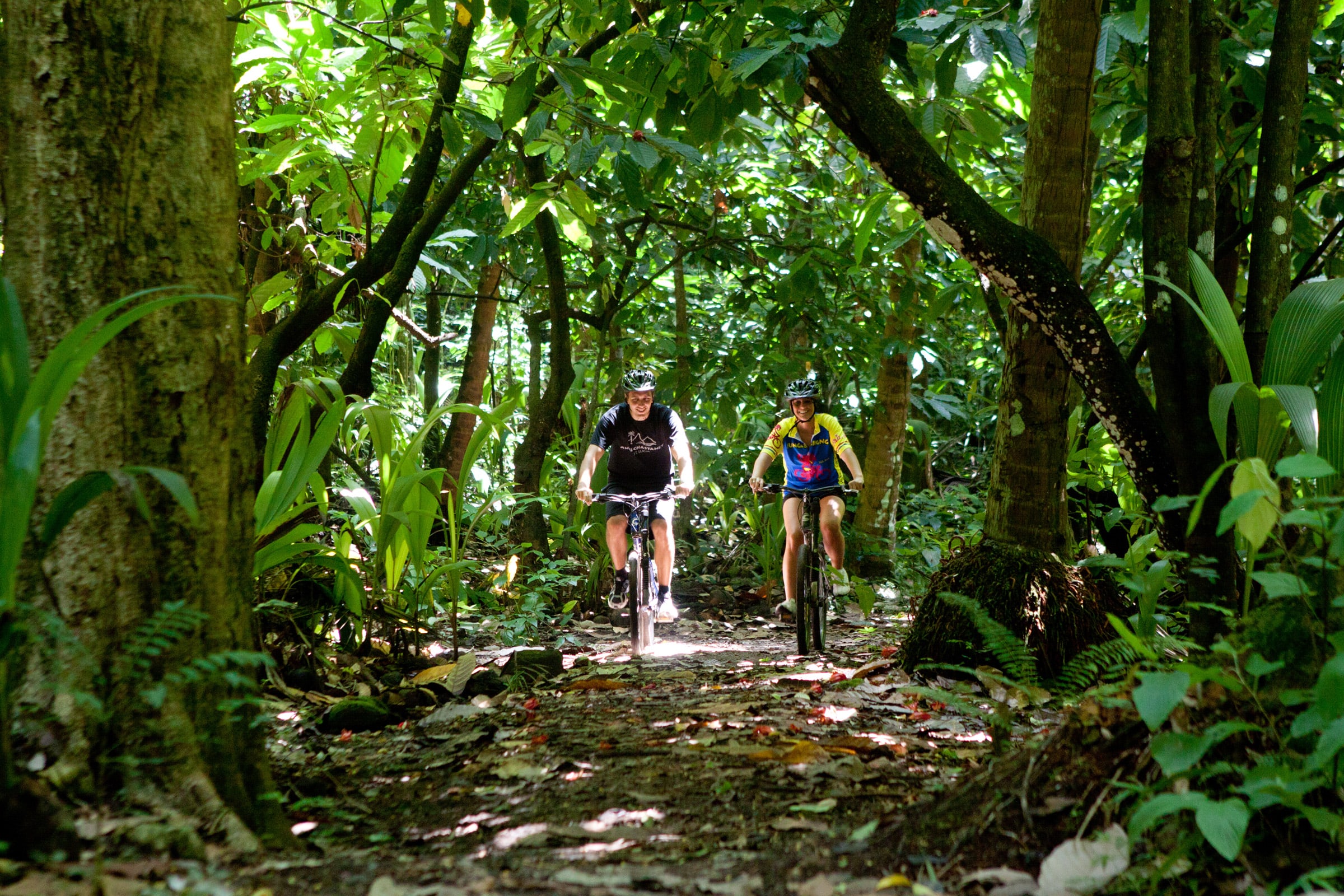 On the grounds of a former sugar plantation, a network of groomed bike trails lead through orchards, fields, and forests.