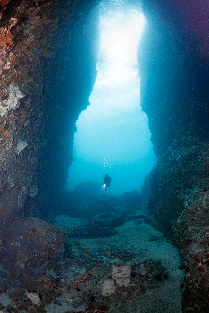 Diamond Rock is one of Martinique's more dramatic dive sites, known for the large swim-through created by a cleft in the pinnacle's cliff face.