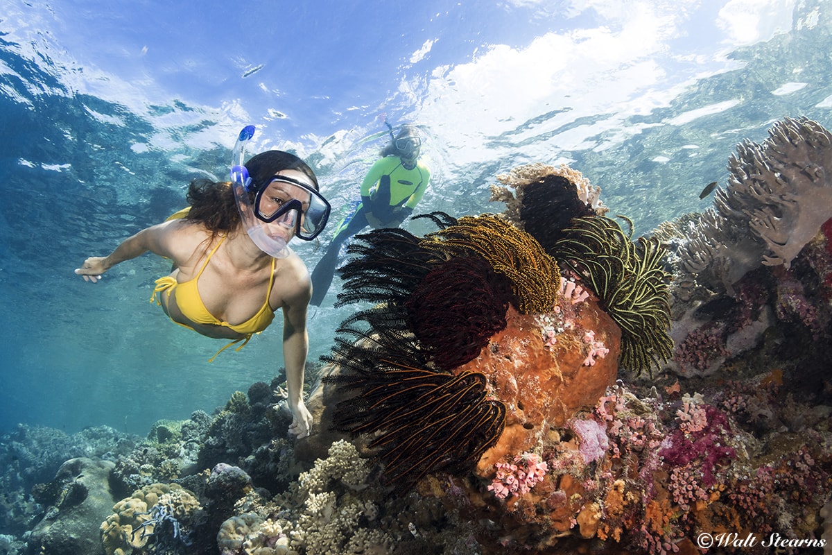 With thousands of acres of shallow reefs to explore, Wakatobi is one of the world's premier snorkeling destinations.