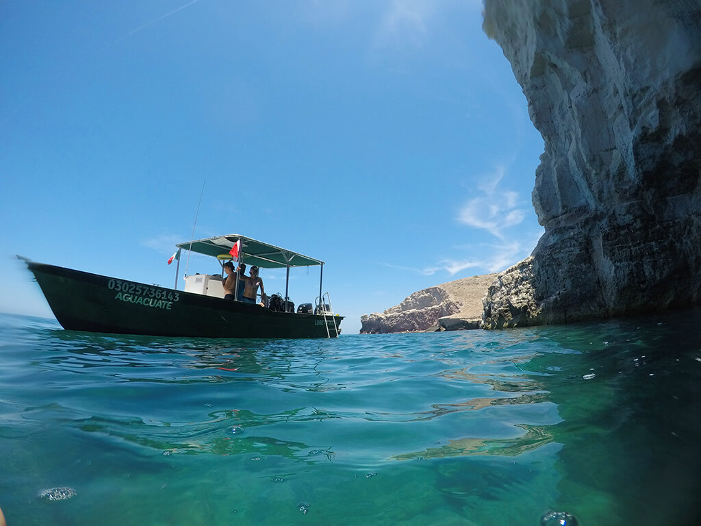 Blue Nation's dive boat, the Aquacuate, carries small groups to a variety of unique dive sites.