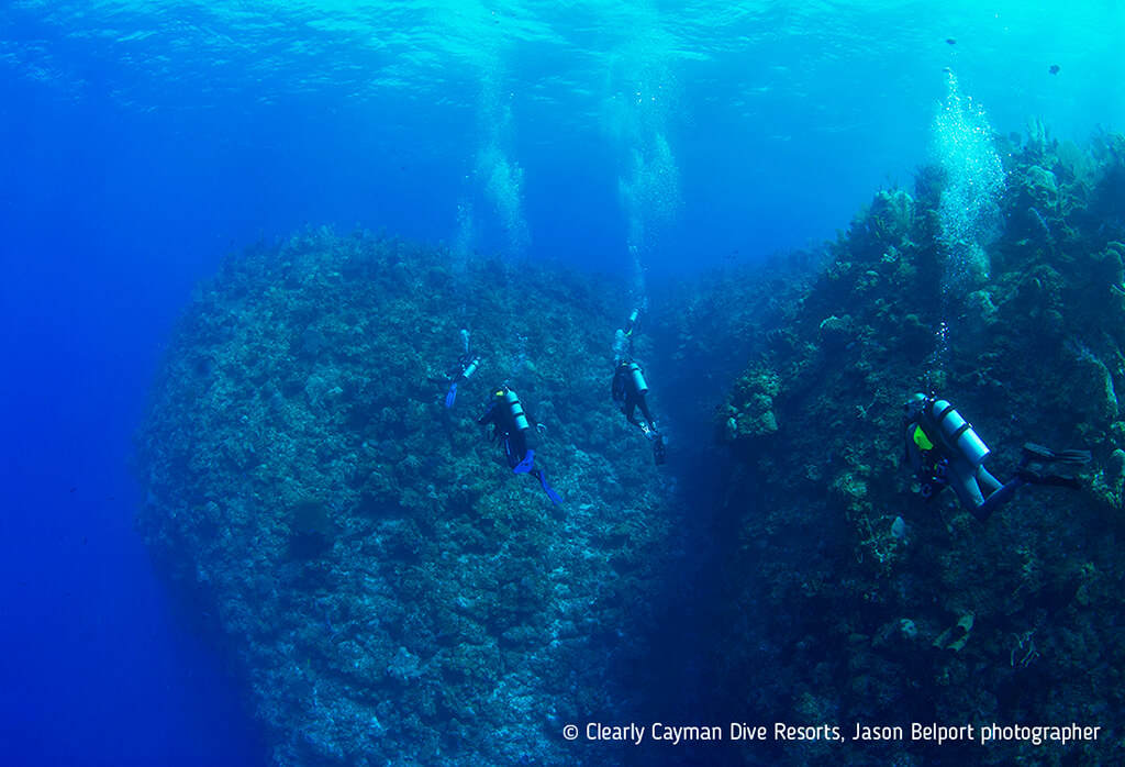 The north side of Grand Cayman is known for sheer walls and pinnacles that project outward into blue water.