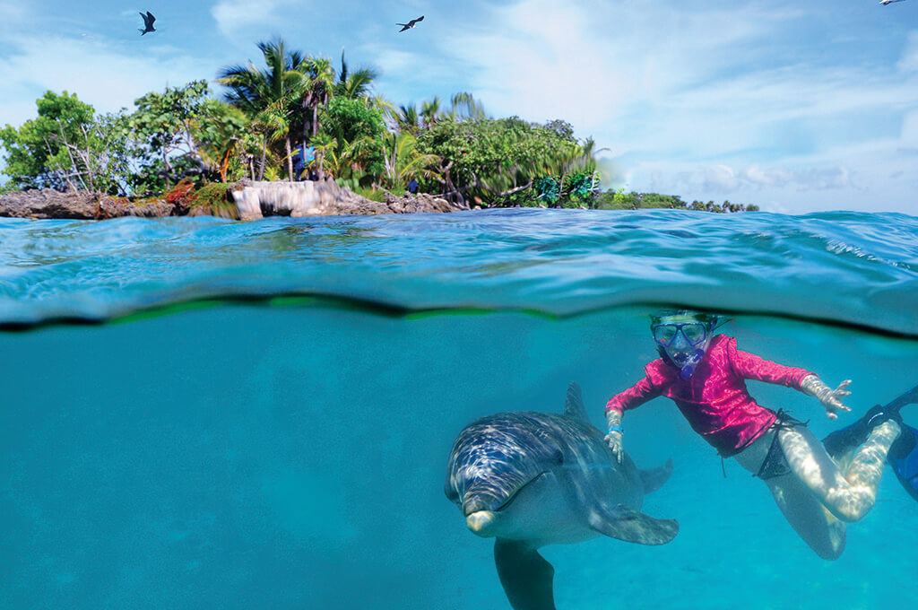 Dolphin programs at the Roatan Institute for Marine Sciences give swimmers, snorkelers and divers a rare opportunity to interact with these marine mammals in a more natural setting. Dolphin programs at the Roatan Institute for Marine Sciences give swimmers, snorkelers and divers a rare opportunity to interact with these marine mammals in a more natural setting.