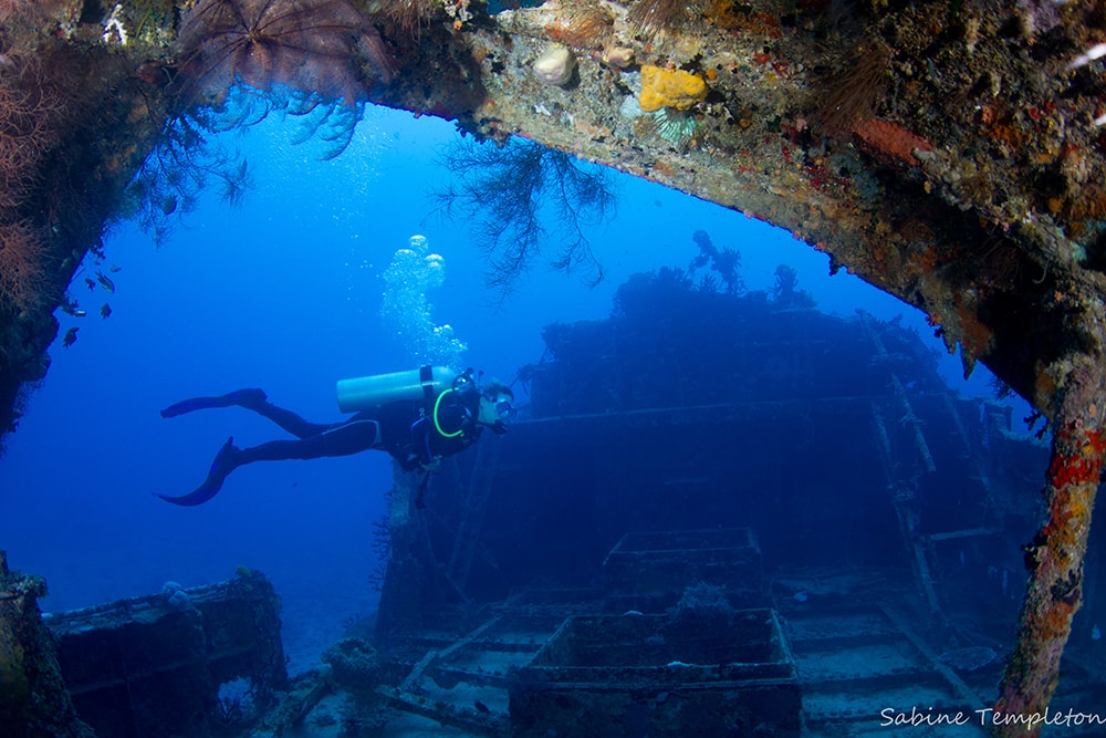 Divers can explore coral reefs and shipwrecks, or participate in a shark feeding.