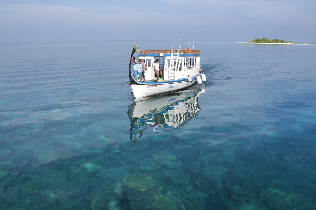 Dive resorts often use traditional Maldivian boats known as dhonis.