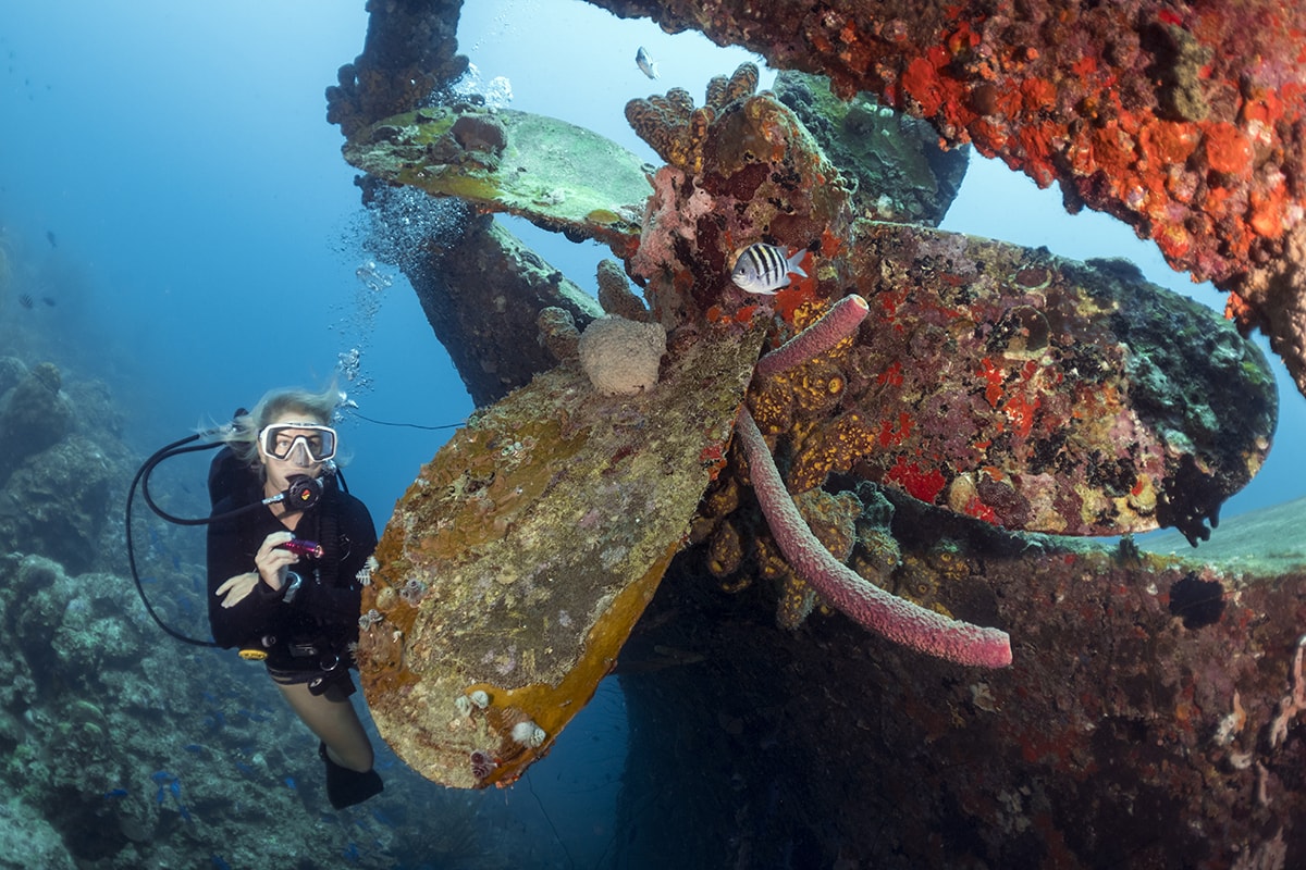 The wreck of the Helma Hooker can be reached from shore with a relatively short swim.