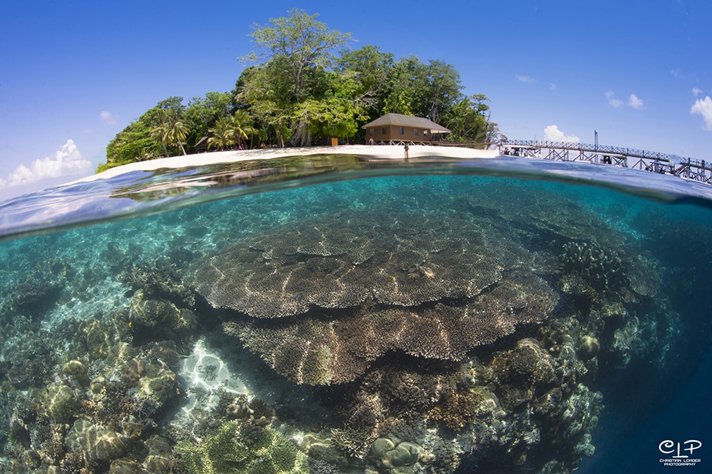 The underwater walls of Sipadan Island start shallow and close to shore.