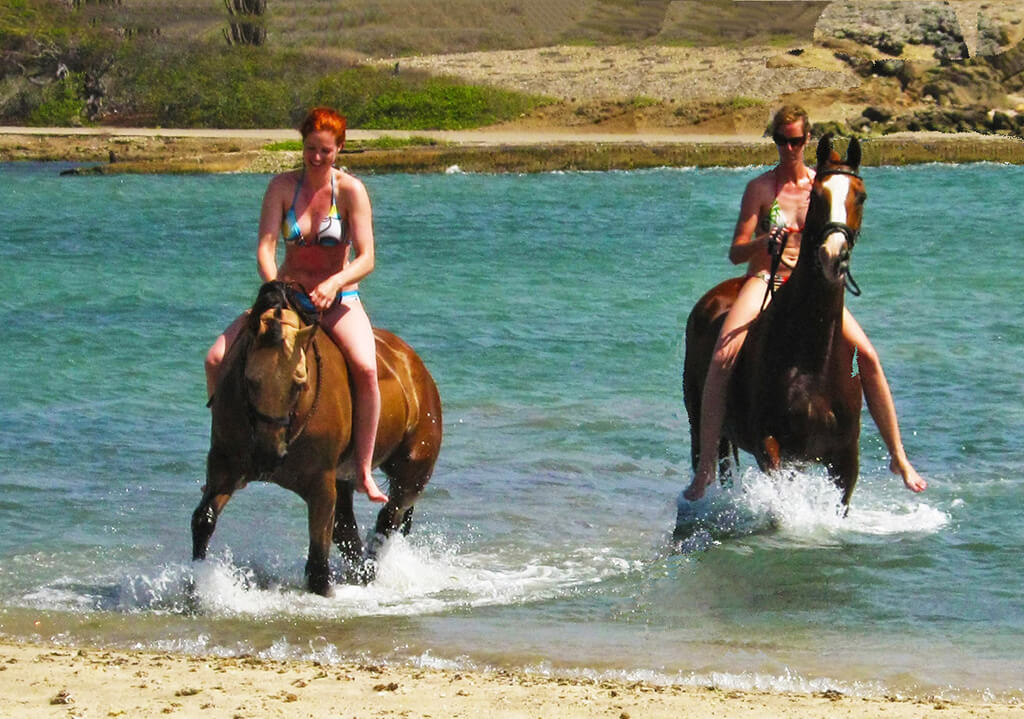 Riders and horses cool off together in the waters of a Bonaire coastal lagoon.