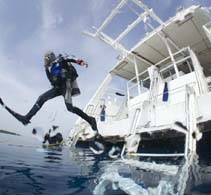 all inclusive dive trips to belize