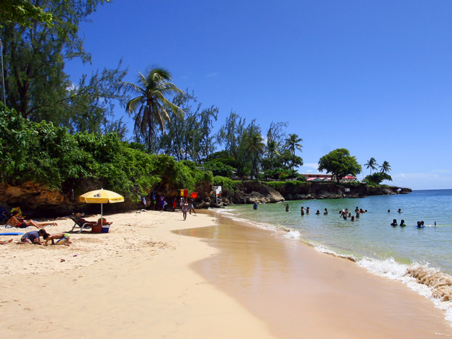 Holidays To Coco Reef Resort Tobago Store