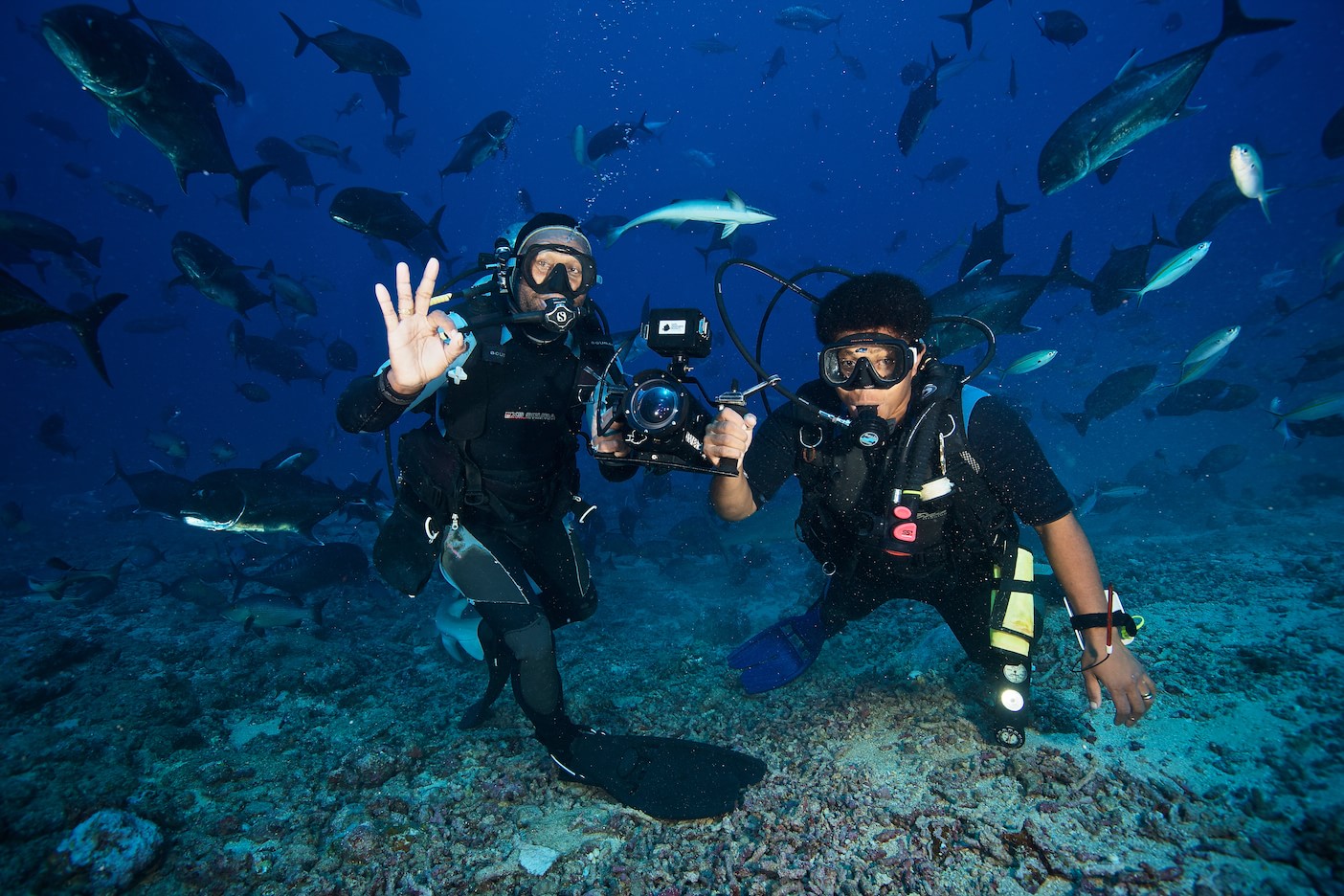 Scuba diving in Fiji. Where to dive and how much it costs