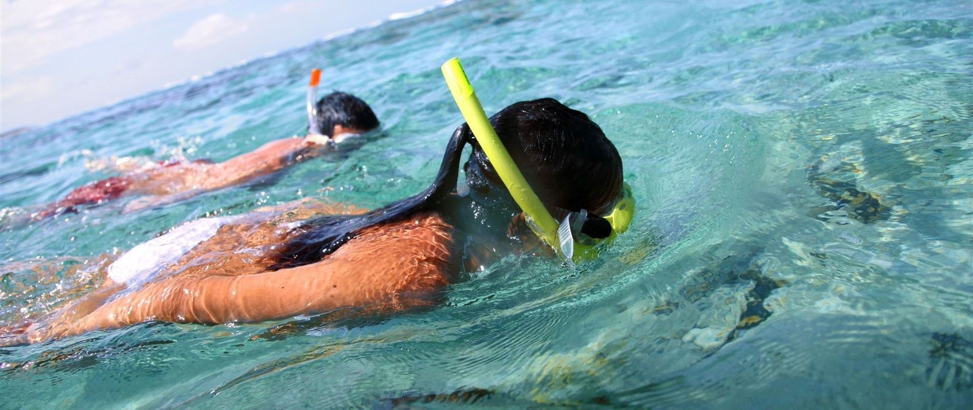 Best Snorkel Tours In The Bay Islands Of Honduras