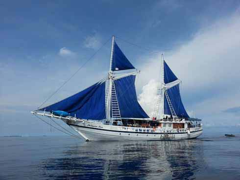 scuba diving trips in philippines