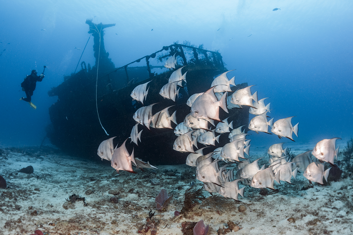 Cozumel wreck dive