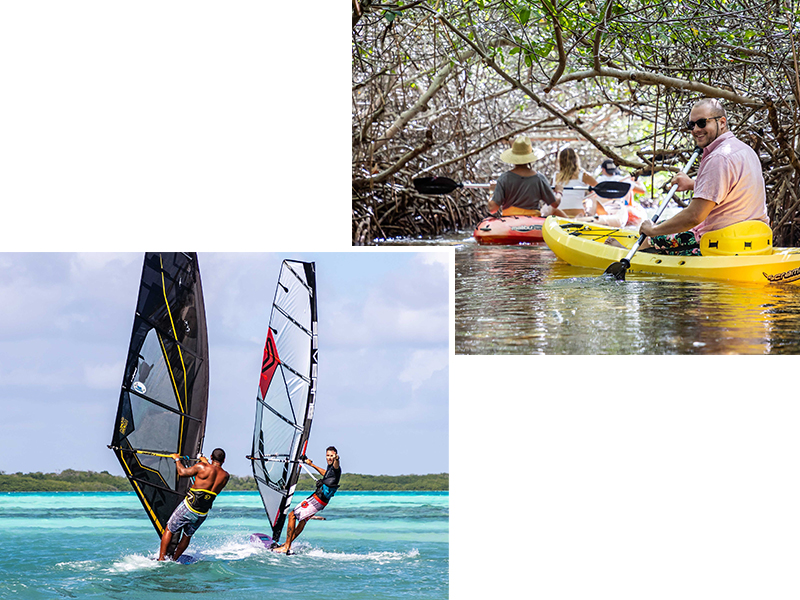 Riding The Winds And Paddling The Mangroves.