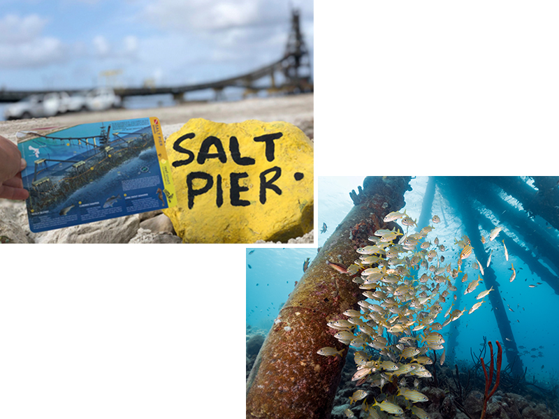 Salt Pier is one of Bonaire's must-do dives.