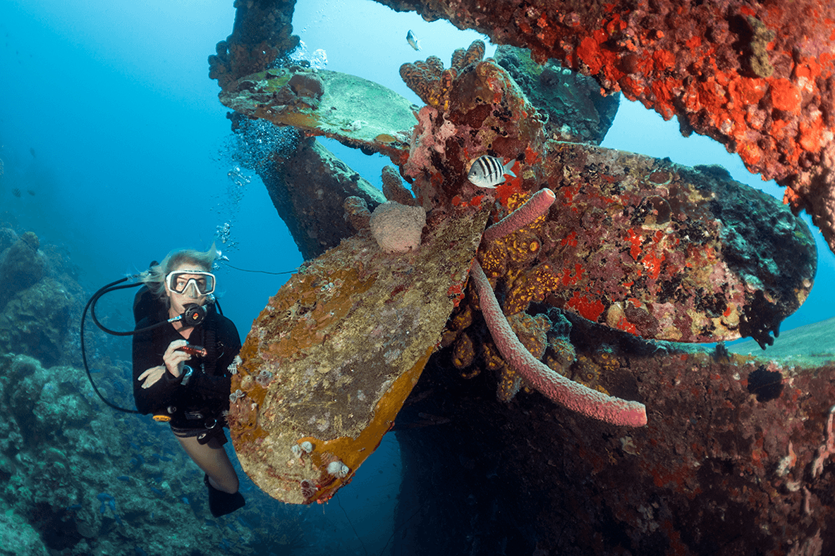 A favorite site visited by dive boats from Captain Don's is the wreck of the Hilma Hooker.