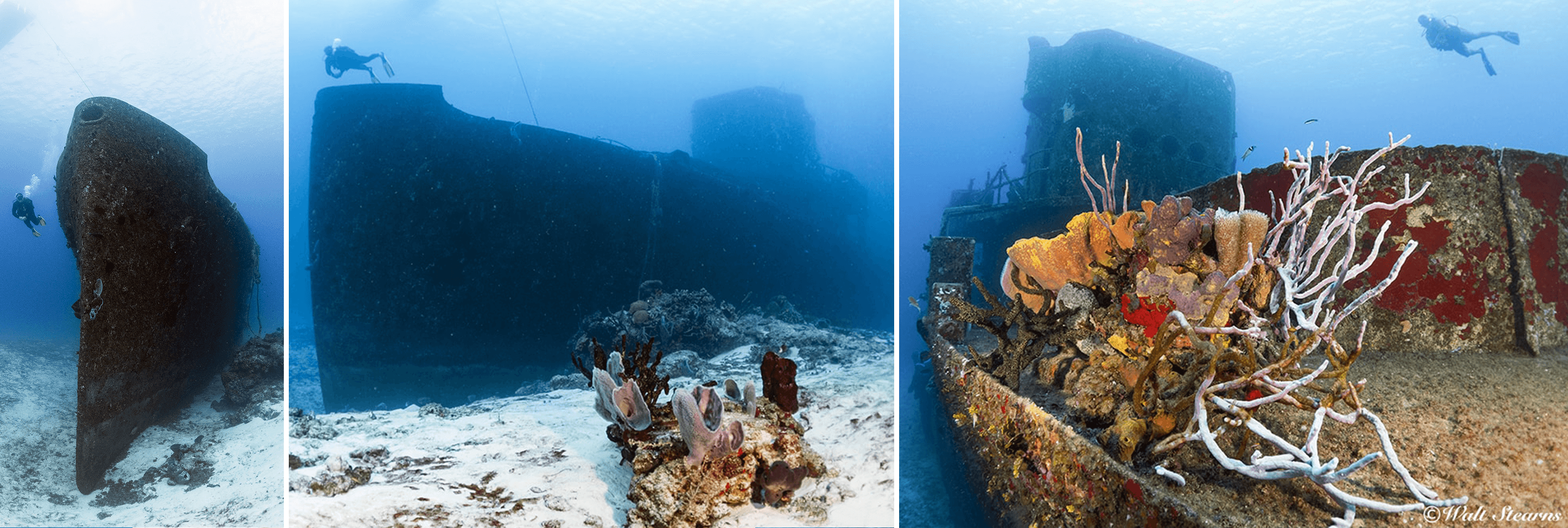 The Felipe Xicotencatl shipwreck is a favorite dive.