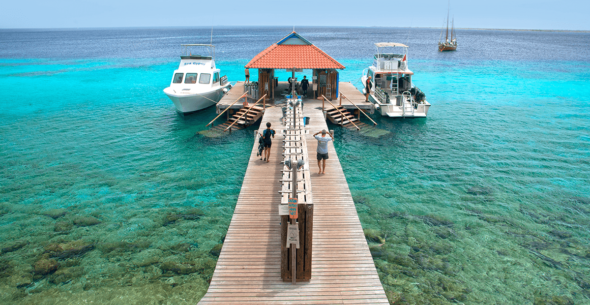 Divers can board boats right at Divi's docks for trips to all of Bonaire's best dive sites.