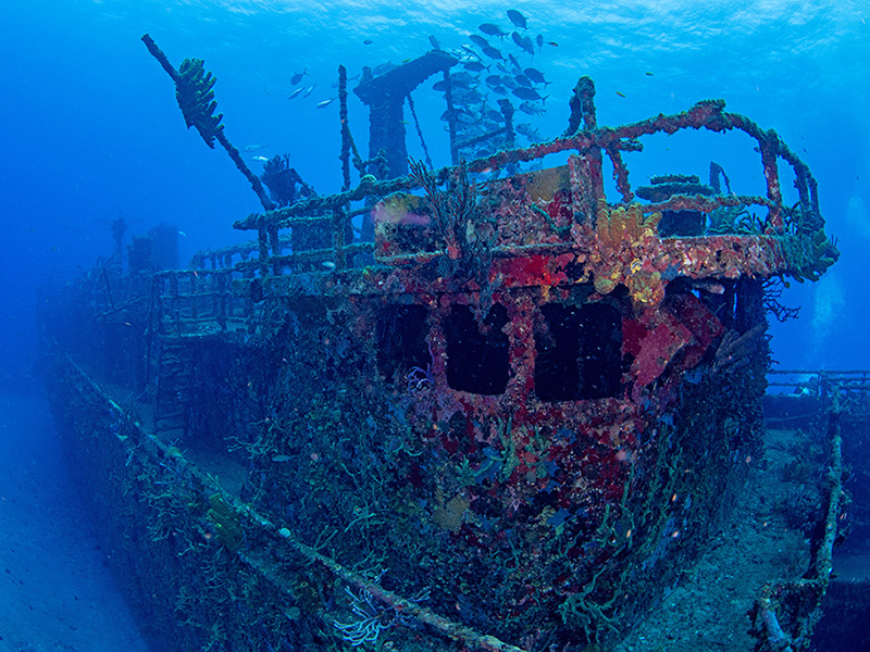 Statia has both historic and modern shipwrecks to discover. Statia has both historic and modern shipwrecks to discover.